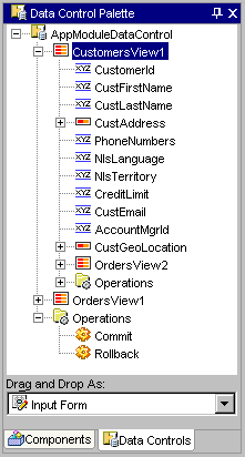 Data Control Palette displays Input Form.