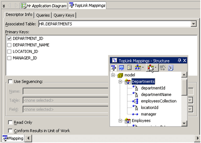 TopLink Mapping Editor and Structure window