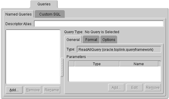 This figure shows the Named Queries - General tab on the Queries tab.