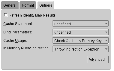 This figure shows the Named Queries - Options tab on the Queries tab.