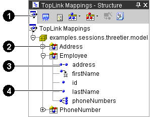 This figure shows a sample Structure pane with 
a TopLink descriptor and identifies the following items:
1. Structure pane toolbar
2. Descriptor
3. Mapped attribute
4. Unmapped attribute