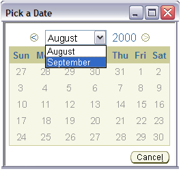 BLAF Guidelines - Date Picker