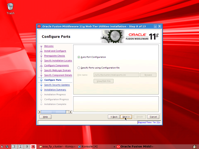 Screen image of this step