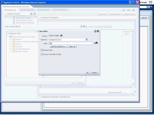 Screen image of this step