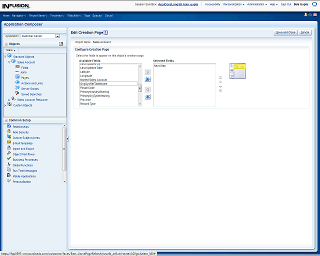 Screen image of this step