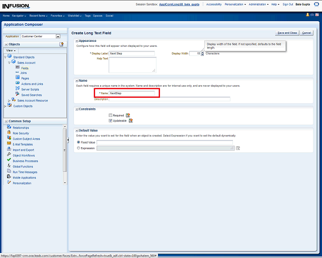 Screen image of this step