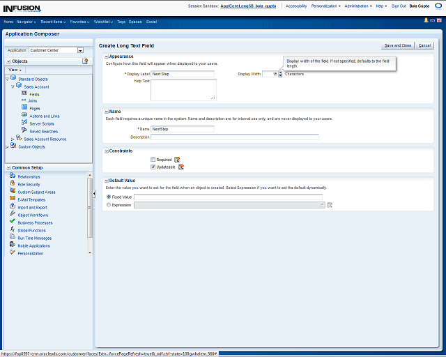 Screen image of this step