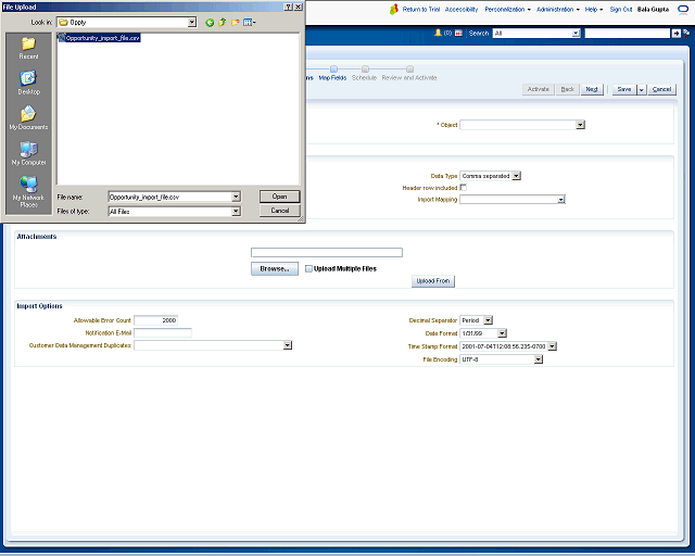 Screen image of this step