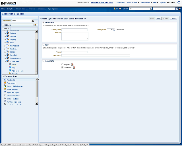 Screen image of this step