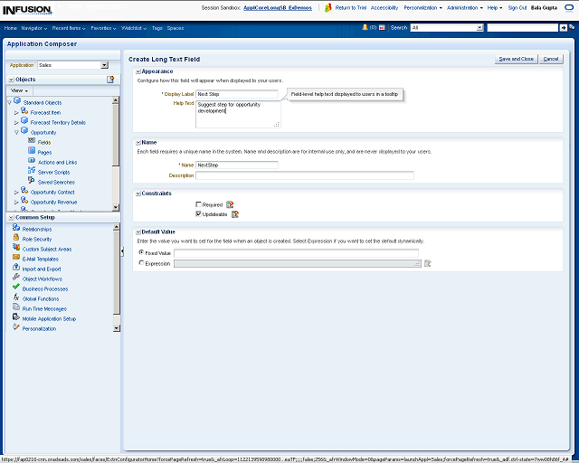 Screen image of this step