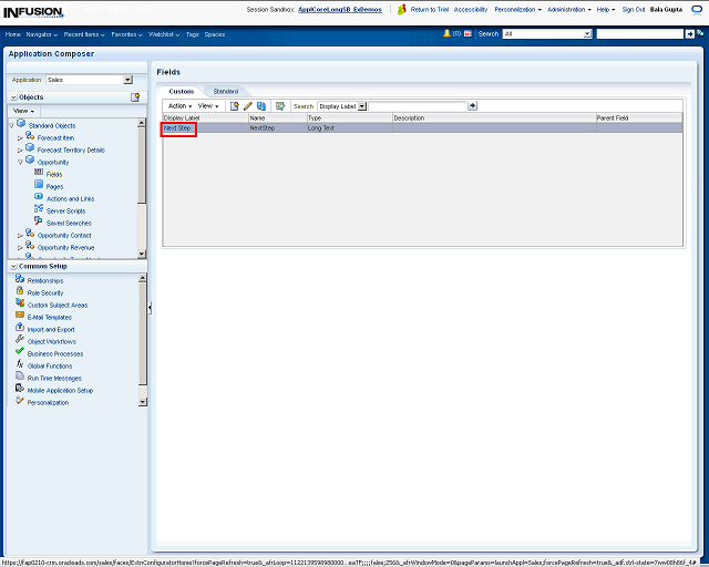 Screen image of this step