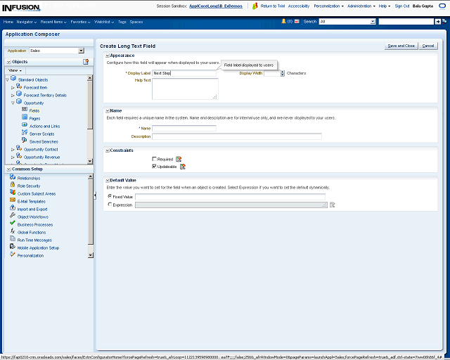 Screen image of this step