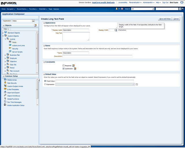 Screen image of this step