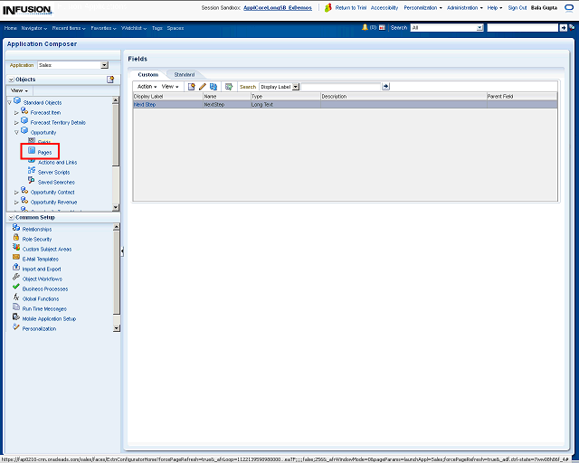 Screen image of this step