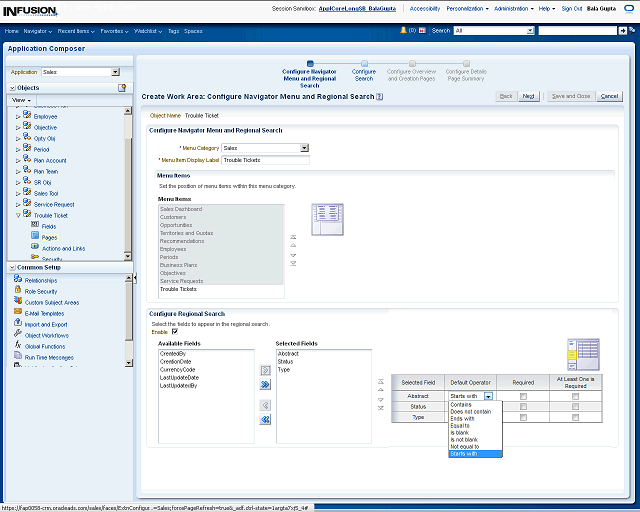 Screen image of this step