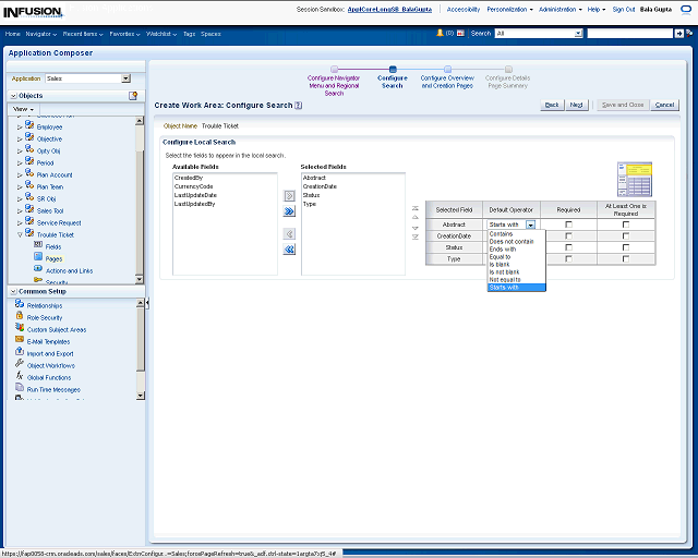 Screen image of this step