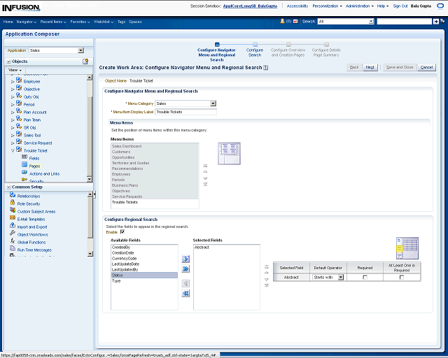 Screen image of this step